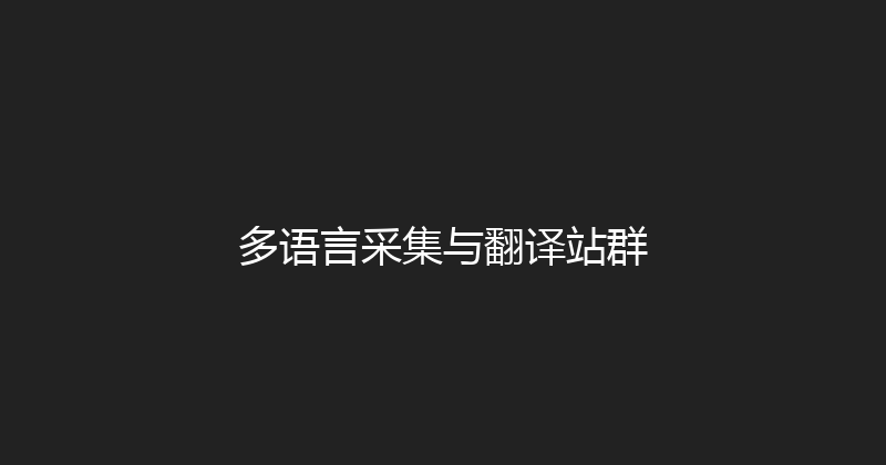 多语言采集与翻译站群 封面图