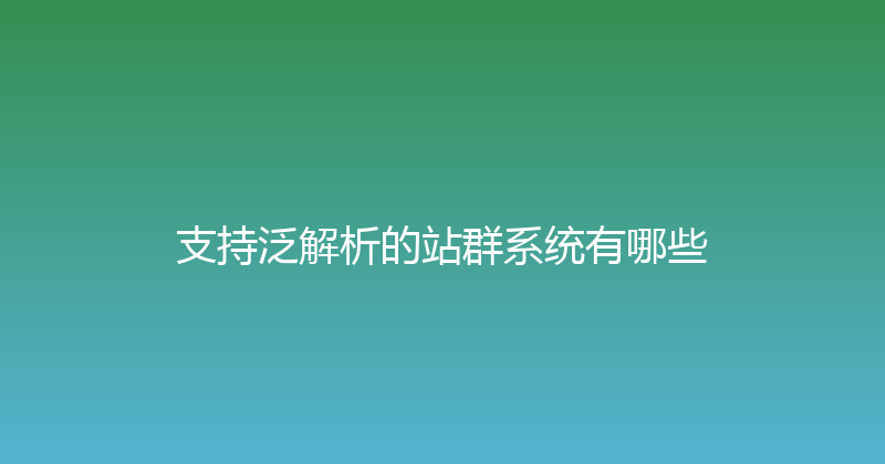 支持泛解析的站群系统有哪些 封面图