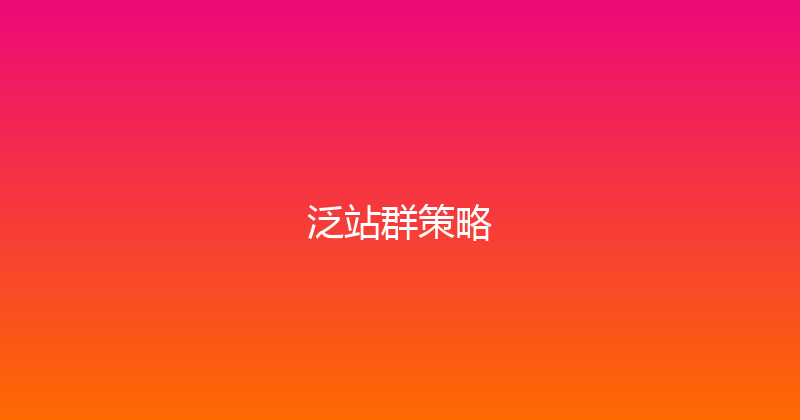 泛站群策略 封面图