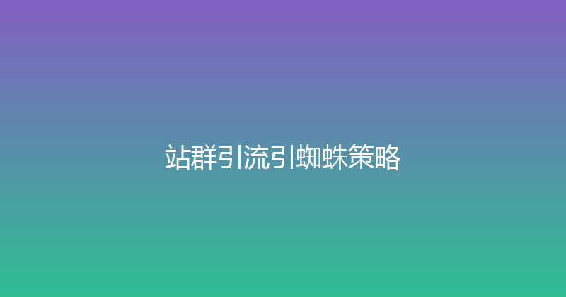 站群引流引蜘蛛策略 封面图
