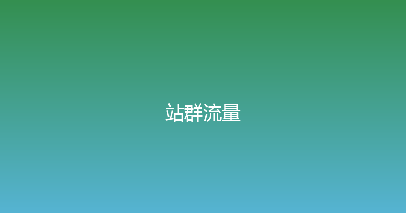 站群流量 封面图