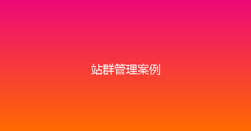 站群管理案例 封面图