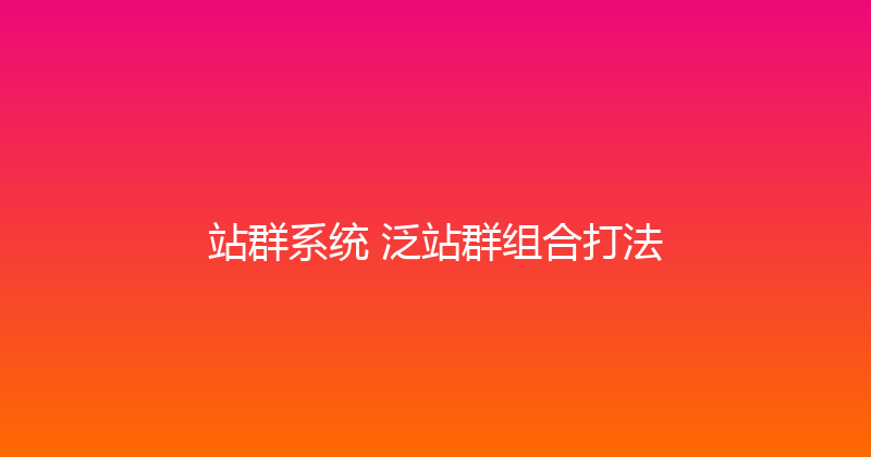 站群系统+泛站群组合打法 封面图