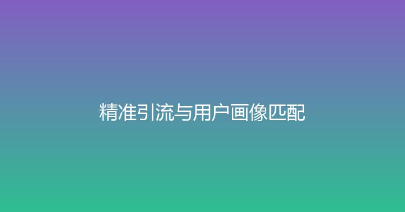 精准引流与用户画像匹配 封面图