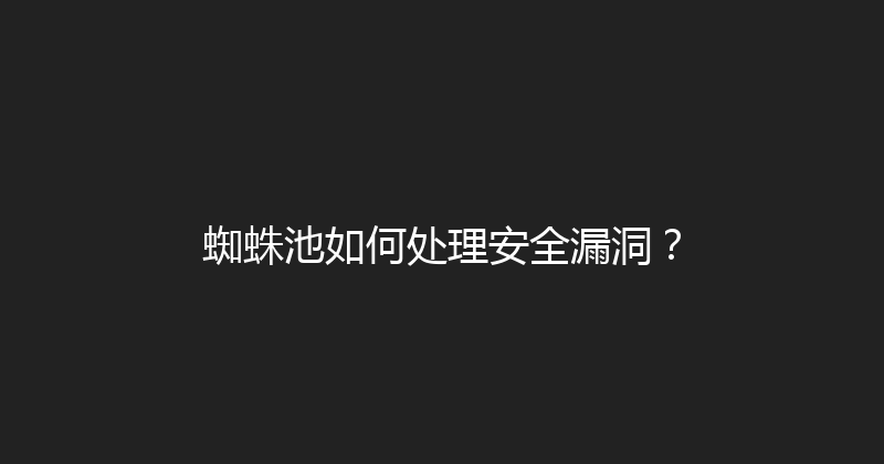 蜘蛛池如何处理安全漏洞？ 封面图